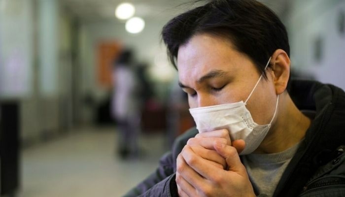 Kemenkes Pastikan Dua Suspek Hantavirus di Jakarta dan Yogyakarta Negatif