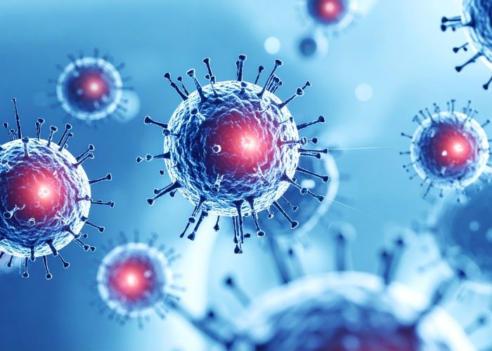 WHO Tegaskan Hantavirus Bukan Ancaman Pandemi Baru, Masyarakat Diminta Tetap Waspada