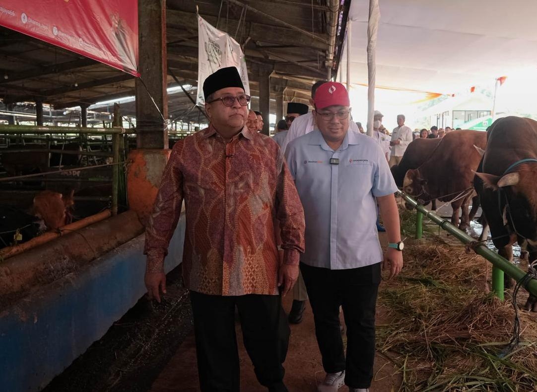 Pemprov DKI Kerahkan 744 Petugas Kesehatan dan Juleha Awasi Hewan Kurban Idul Adha 2026, Salurkan 210 Ekor Sapi