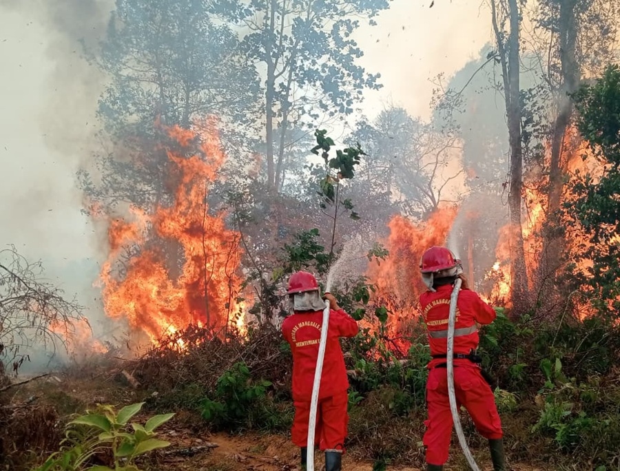 Cegah Risiko Janin Cacat, POGI Desak Perlindungan Ekstra Bagi Ibu Hamil Terdampak Karhutla