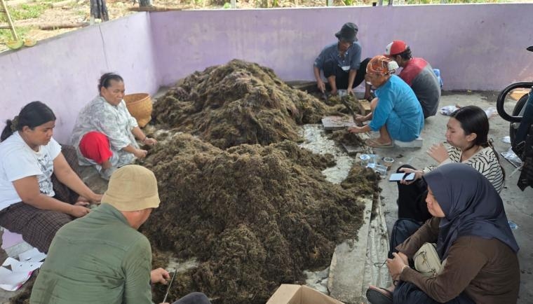Keren! Lewat Aplikasi Seluler dan Riset BRIN, Pemkab Tangerang Modernisasi Sawah untuk Genjot Produktivitas Padi