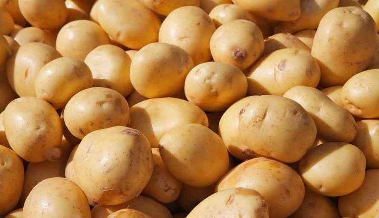 10 Manfaat Kentang untuk Kesehatan Tubuh, Bukan Sumber Karbohidrat Biasa!