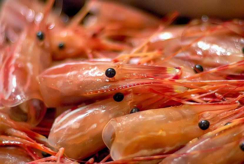 Stop Jangan Dibuang! Ini 8 Kandungan Nutrisi dan Manfaat Kulit Udang Bagi Tubuh Kita, Nomor 7 Bagus Banget
