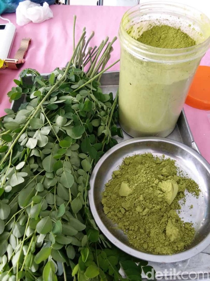 Selain untuk Mengobati Orang Kesurupan, Ini 13 Manfaat Daun Kelor bagi Kesehatan, Nomor 10 Banyak yang Belum Tahu