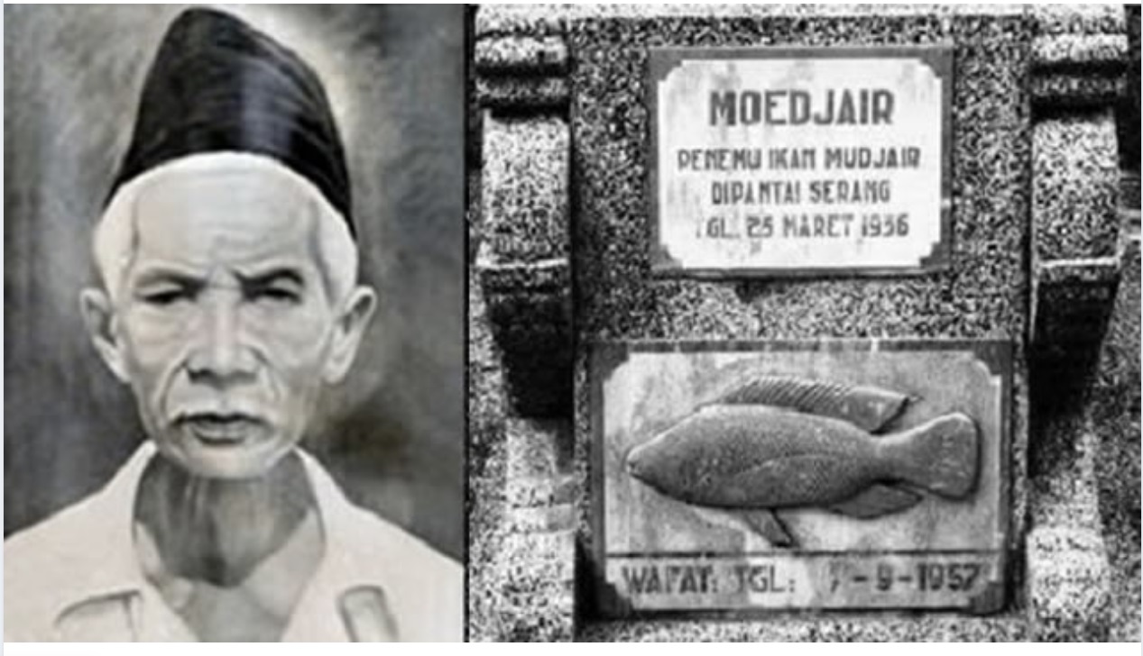 Jarang yang Tahu! Penemu Ikan Mujair Ternyata Bukan Ilmuan atau Peneliti, Ini Dia Sosoknya yang Tak Disangka-sangka