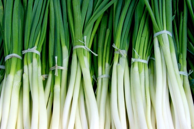 12 Manfaat Daun Bawang Bagi Kesehatan, untuk Menurunkan Berat Badan hingga Mengatasi Kerusakan Rambut
