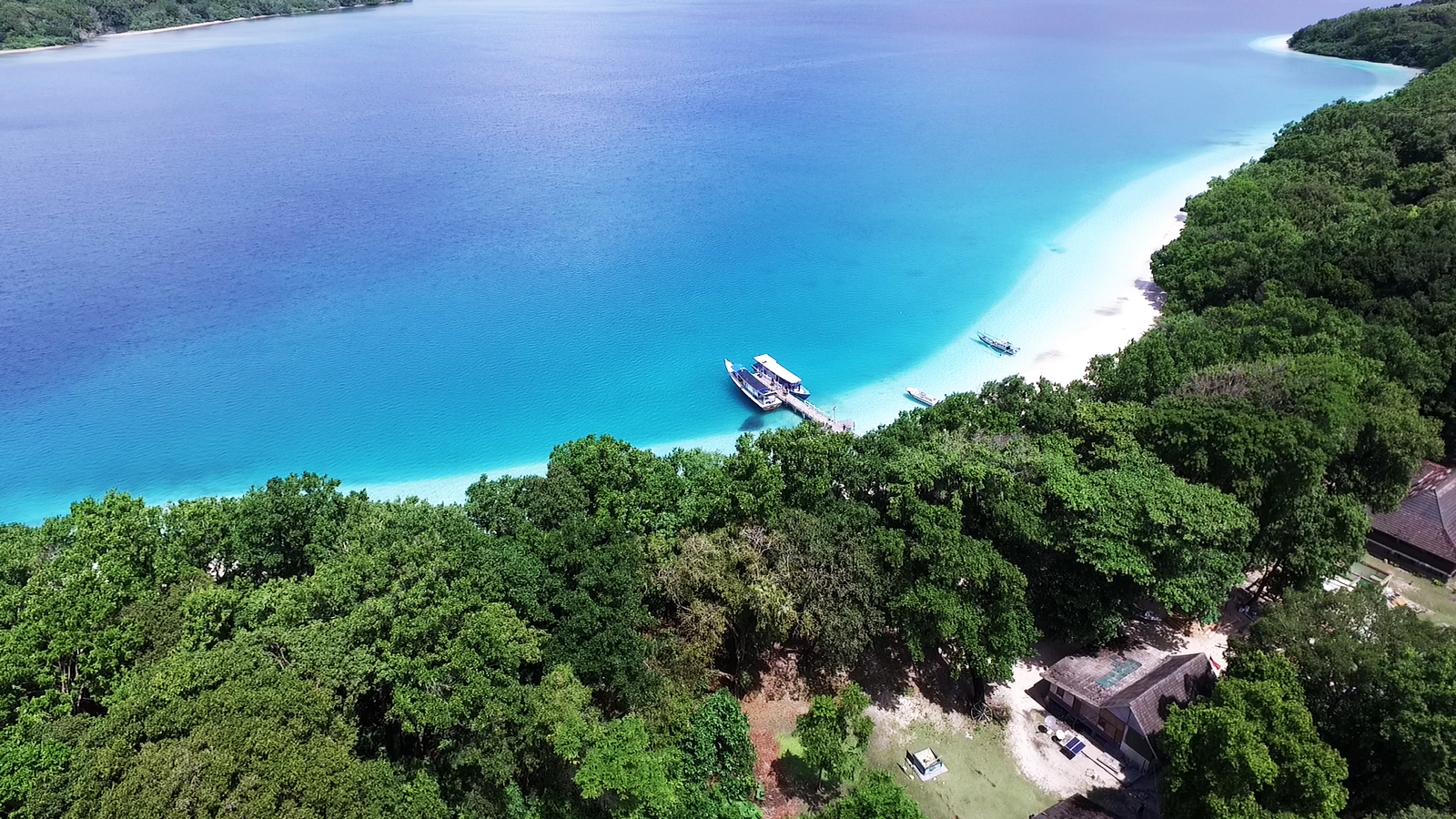 Wos Sekali, Simak 3 Wisata Alam Menarik Tak Jauh dari Jakarta di Taman Nasional Ujung Kulon