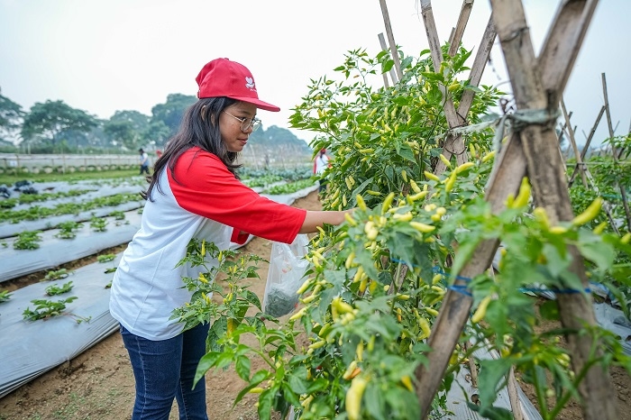 Wujudkan Mandiri Pangan, Yayasan JHL Merah Putih Kasih Siap Cetak 1.000 Sarjana Pertanian dan Peternakan