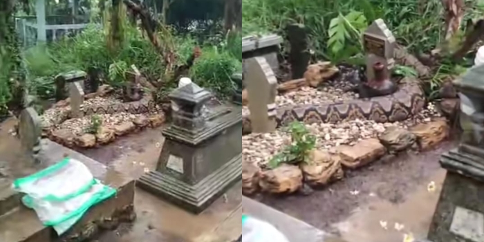 Viral Video Penampakan Ular Raksasa di Atas Makam Bikin Heboh Netizen, Berkaitan Dengan Hal Ghaib?