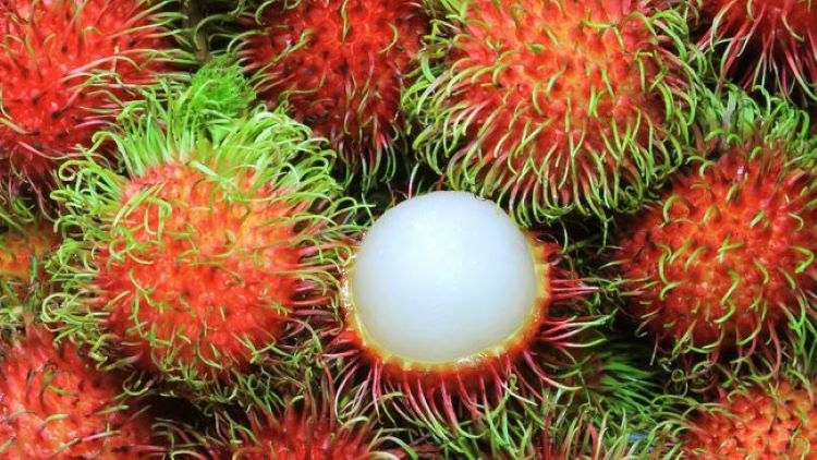 Mumpung Lagi Musim Nih! Berikut 10 Manfaat Buah Rambutan Bagi Kesehatan, Salah Satunya Baik untuk Ibu Hamil