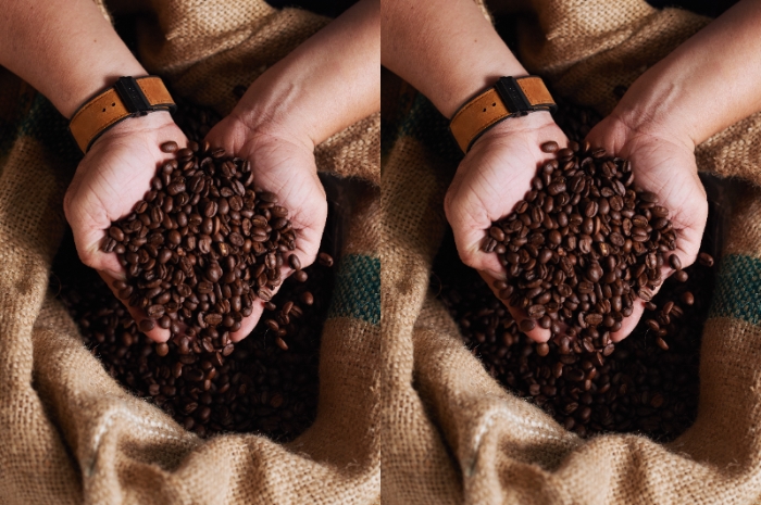 Rahasia Rasa Kopi Robusta yang Bikin Pecinta Kopi Ketagihan