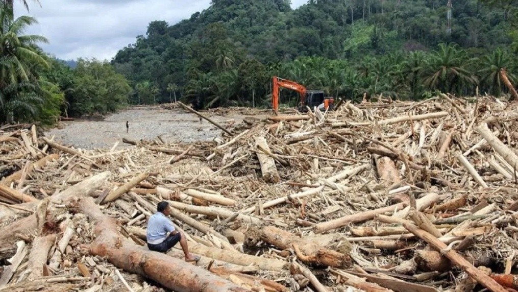 Buntut Kayu Gelondongan Hanyut Saat Banjir, DPR Desak Pemerintah Bentuk Tim Investigasi Illegal Logging