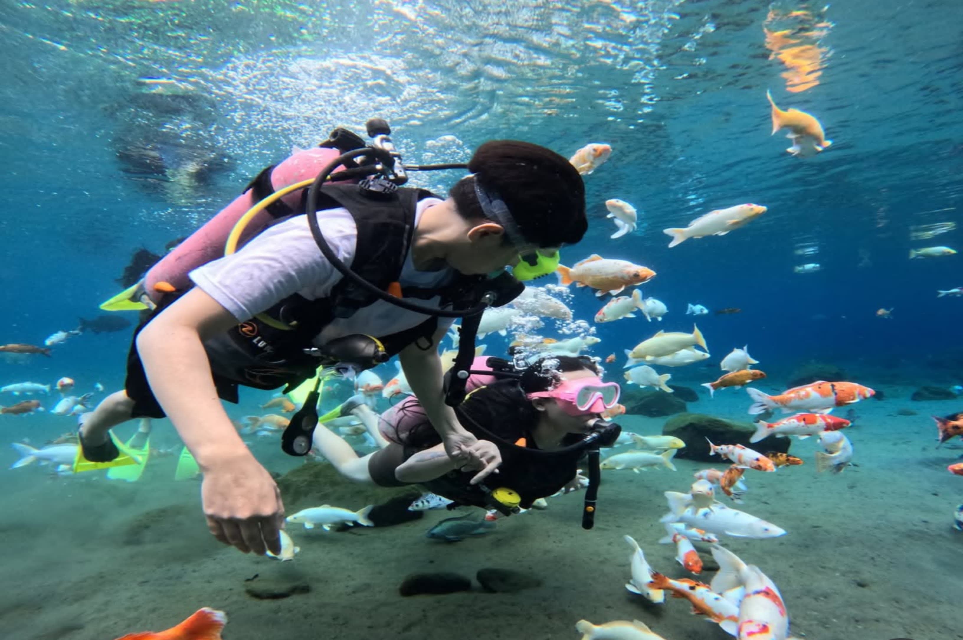Dari Desa Miskin Menjadi Desa Terkaya, Pesona Wisata Ponggok yang Membuat Orang Takjub