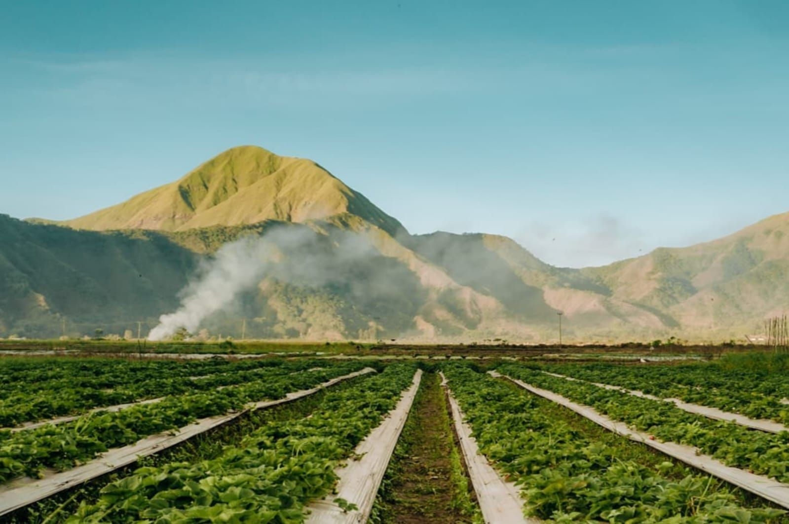 Desa Wisata Sembalun, Sensasi Healing di Kaki Gunung Rinjani