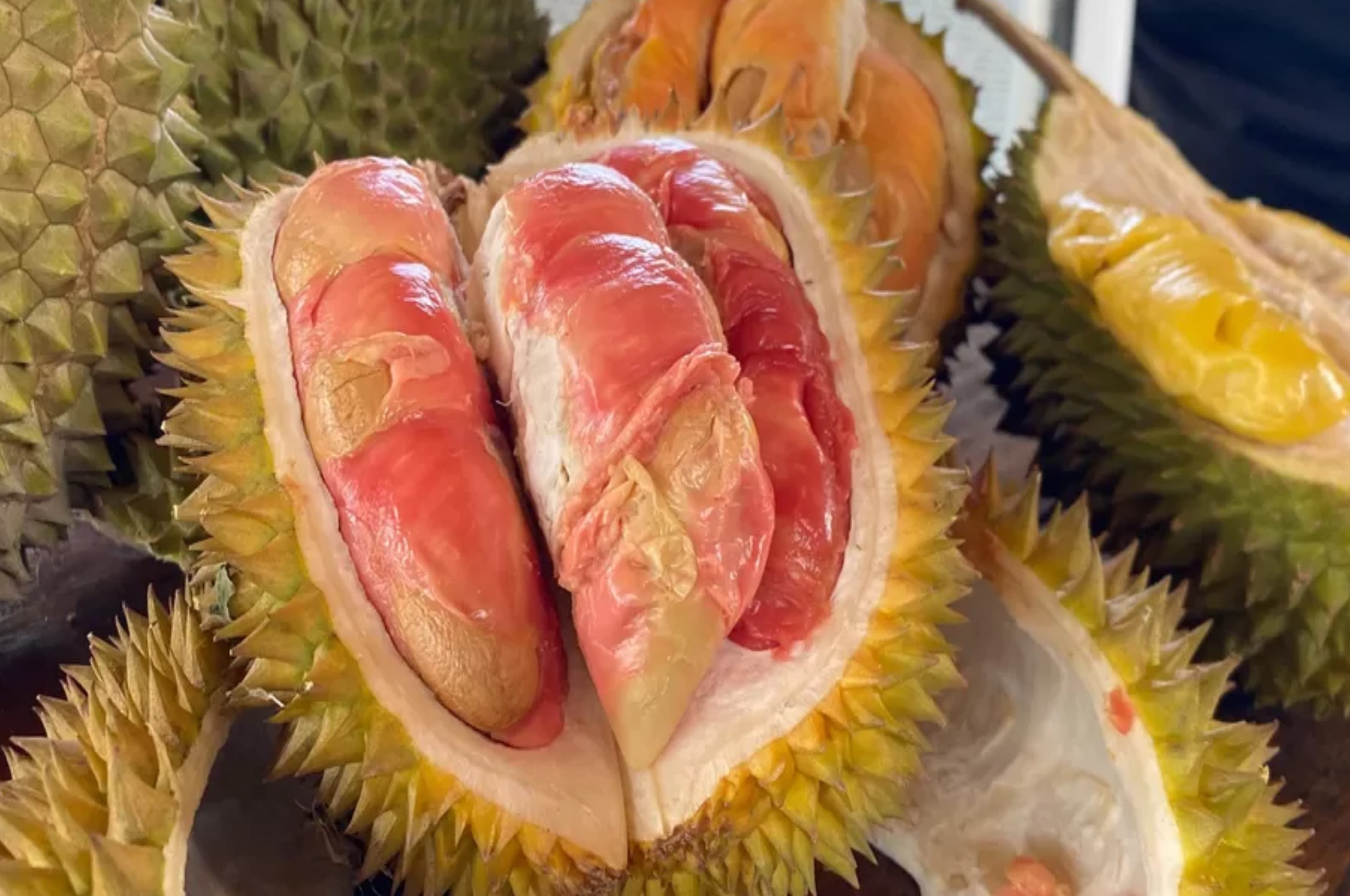 Durian Merah Banyuwangi Cetak Sejarah dengan Sertifikat Indikasi Geografis