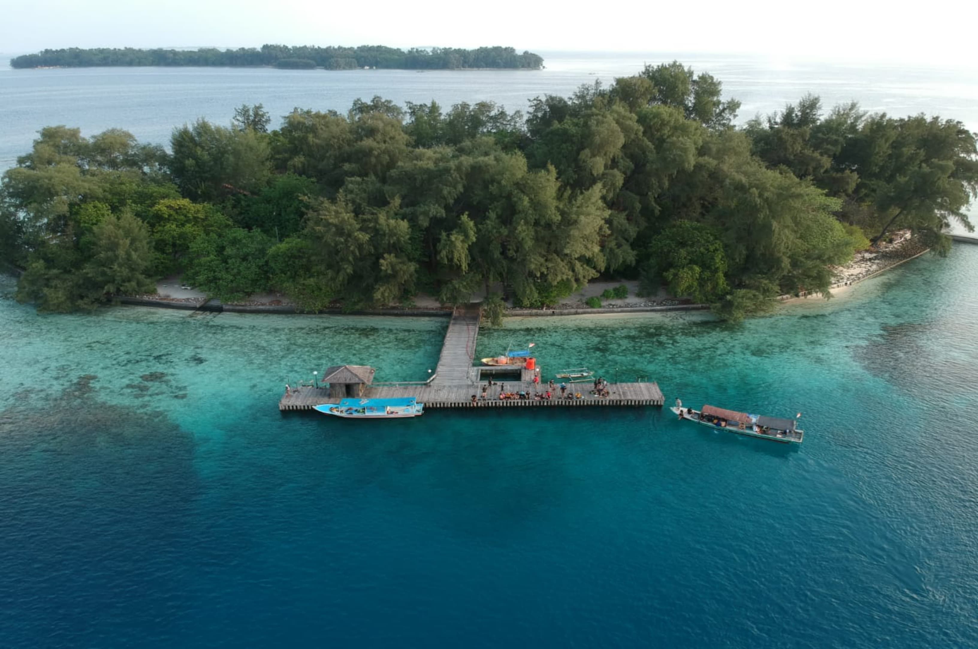 Pulau Kotok, Surga Bahari Asri dan Rumah Elang Bondol di Utara Jakarta