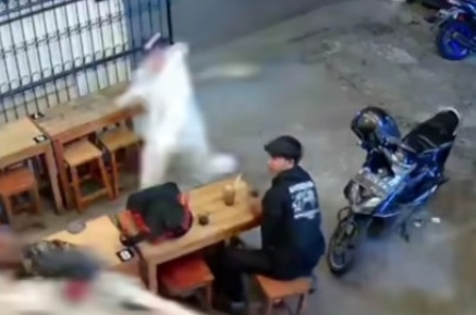 Pelaku Pembacokan di Warkop Bekasi Ditangkap, Ngaku Dendam Karena Sering Dibully