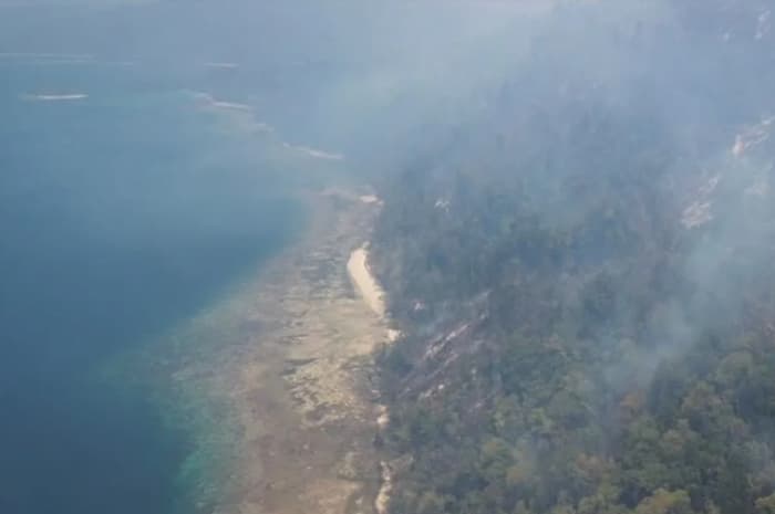Dari Hutan Terbakar hingga Sumur Jadi Asin, Begini Efek Domino Karhutla di Raja Ampat