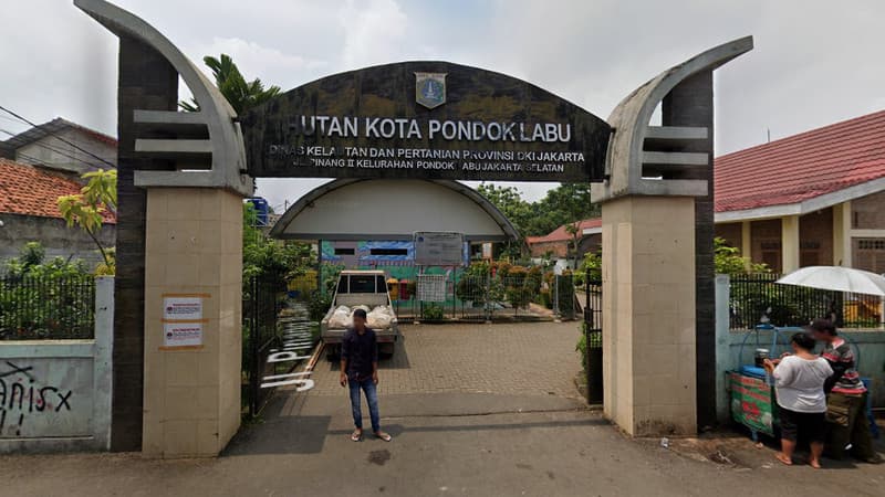 Sejarah Jakarta: Asal Usul Pondok Labu