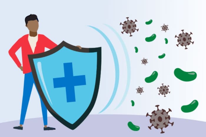 Lebih Kuat Lawan Penyakit! Ini 7 Obat Alami yang Terbukti Ampuh Meningkatkan Daya Tahan Tubuh