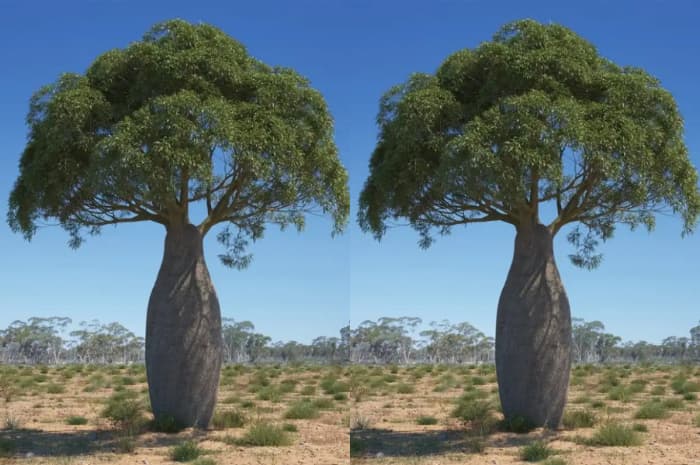 Termasuk Ada yang Bisa Meledak, Inilah Tumbuhan Ajaib yang Benar-Benar Ada di Dunia Nyata