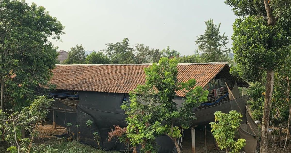 Masalah Kandang Ayam Berlarut-larut, Warga Ciputat Minta Audiensi Langsung dengan Wali Kota Tangsel