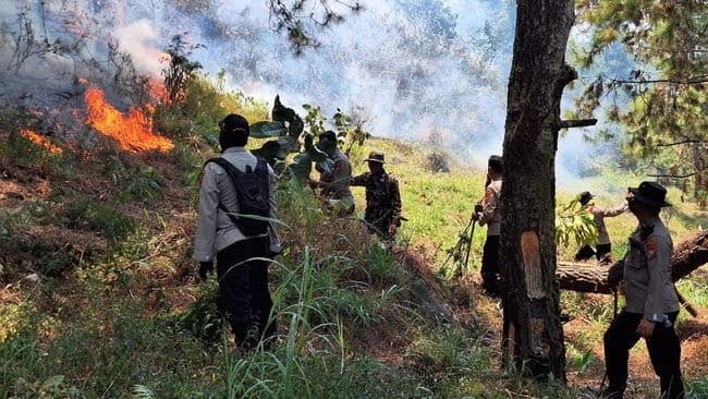 Kebakaran Hutan Gunung Lawu, Sekitar 200 Personel Dikerahkan Menyisir Empat Jalur