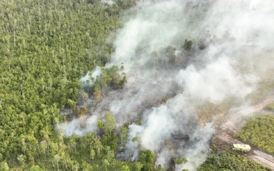 Kabut Asap Paksa Sekolah di Sumut Beralih ke PJJ, Orang Tua Kini Punya Peran Besar