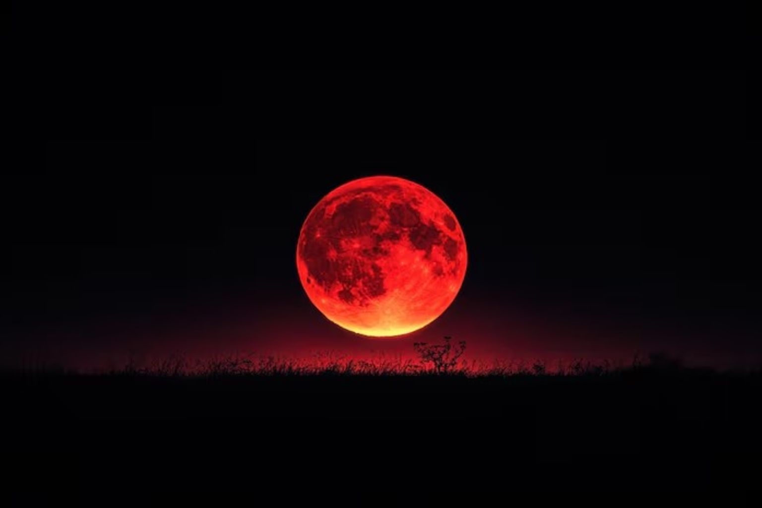 Jangan Lewatkan Fenomena Hunters Moon 26 Oktober, Ini Waktu Terbaik Mengamatinya