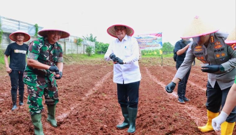 Jaga Stabilitas Pangan Antisipasi Krisis Global, Bupati Tangerang Pimpin Penanaman Jagung Hibrida Serentak di Panongan