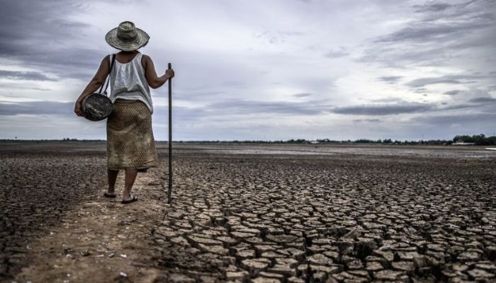 Suhu Meningkat Drastis, Begini Cara Cegah Heatstroke yang Perlu Kamu Tahu