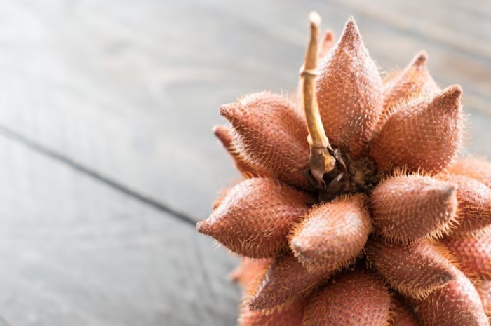 Tak Banyak yang Tahu, Salak Ternyata Punya Manfaat Besar untuk Ibu Hamil