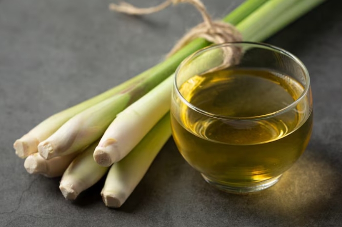Sering Jadi Bumbu Dapur, Ternyata Serai Punya Manfaat yang Tak Banyak Orang Tahu