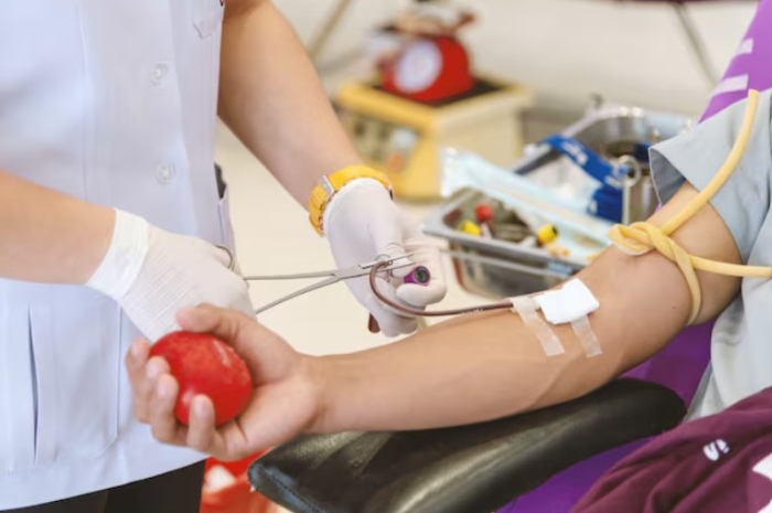 Ingin Tubuh Cepat Pulih Setelah Donor Darah, Coba Konsumsi 5 Makanan Berikut