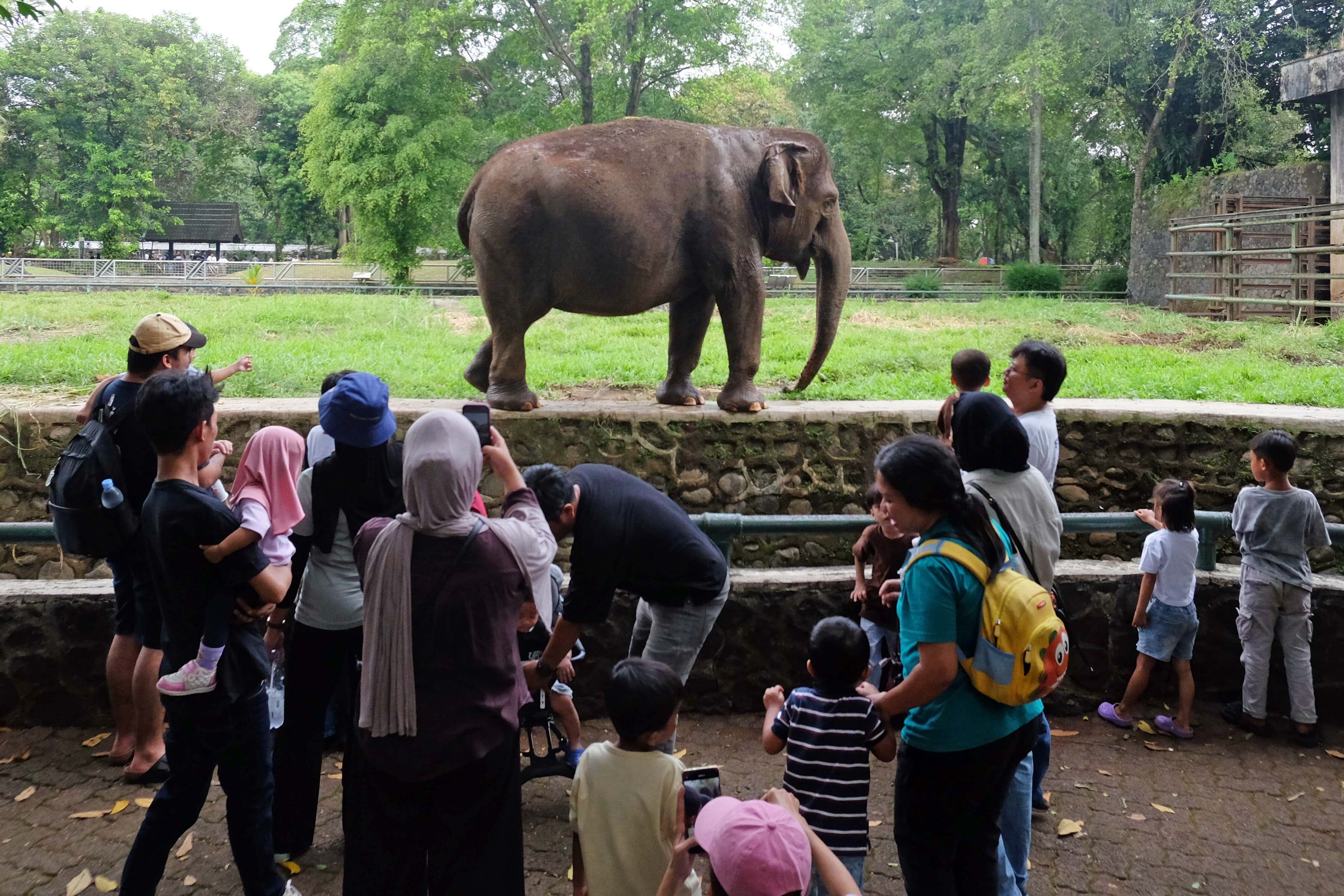 Pecah Rekor, Pengunjung Ragunan Tembus 135.500 saat HUT Ke-499 Jakarta