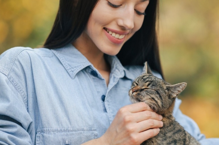 Pelihara Kucing Bikin Mandul? Ini Fakta Medis yang Perlu Diketahui