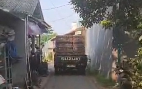 Sengketa Kandang Ayam di Ciputat, Pemilik Diduga Evakuasi Ternak Sebelum Disidak Pemkot Tangsel