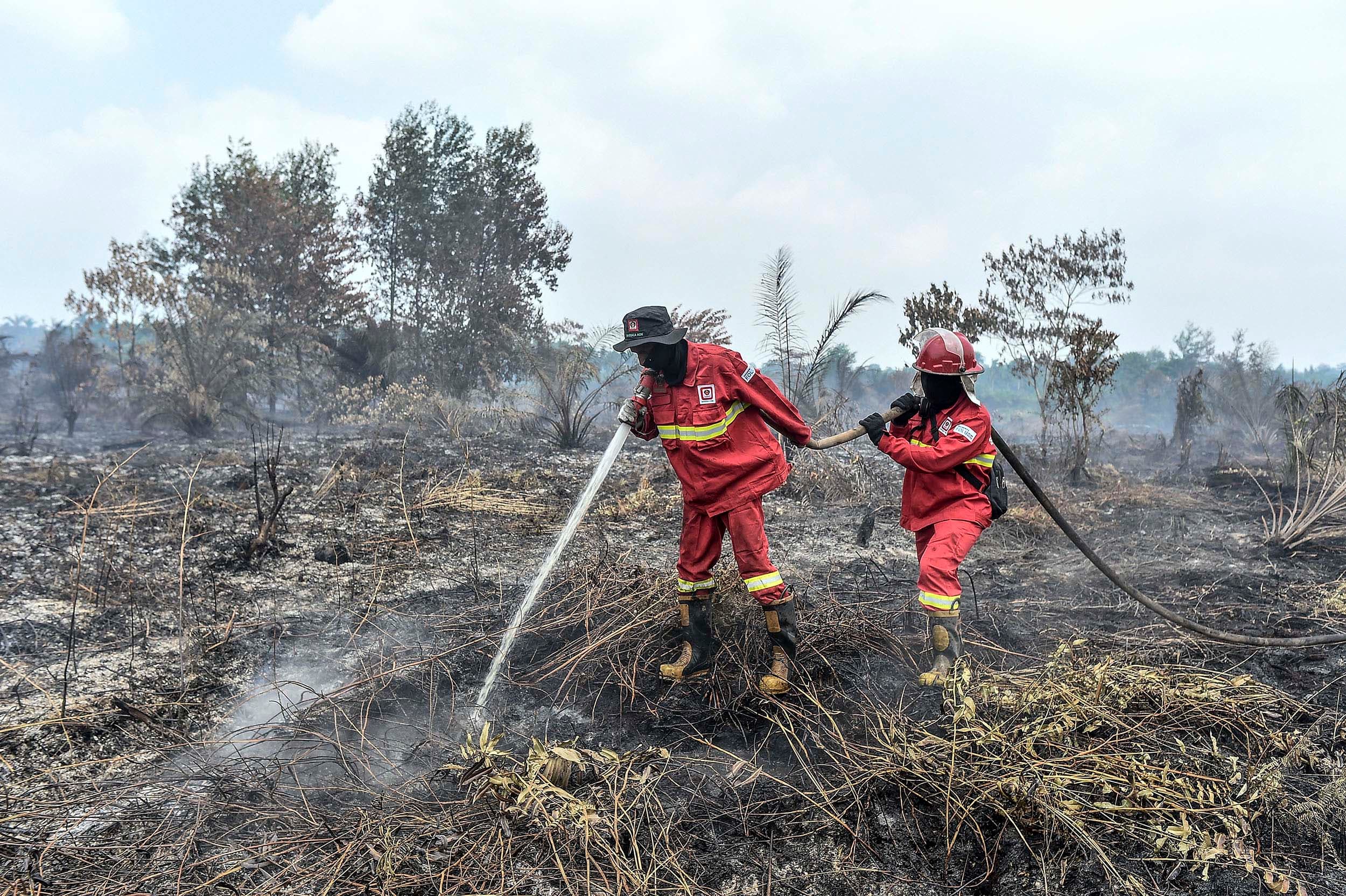 BMKG Deteksi 1.299 Titik Panas di Kalsel Berstatus Sangat Mudah Terbakar