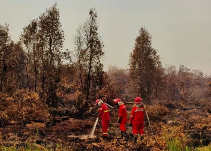 Dampak Karhutla Memburuk, Puluhan Ribu Warga Kalimantan Selatan Terserang ISPA