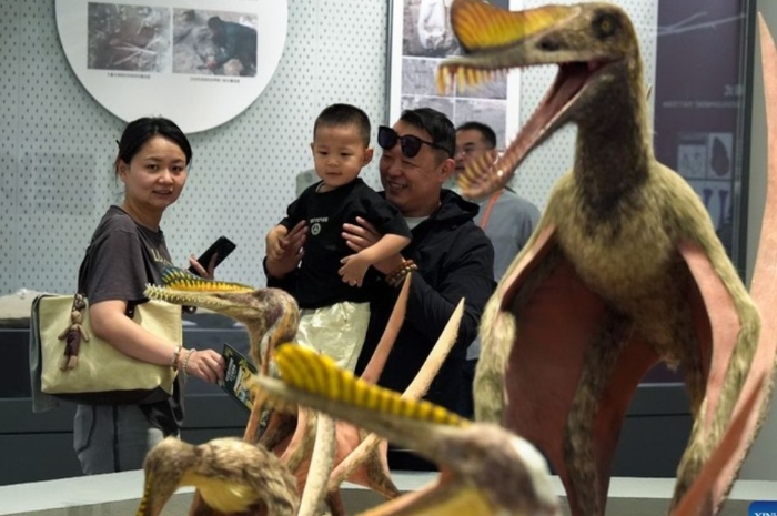 Pertama di Dunia, China Buka Museum Pterosaurus dengan Fosil Telur dan Embrio 3D