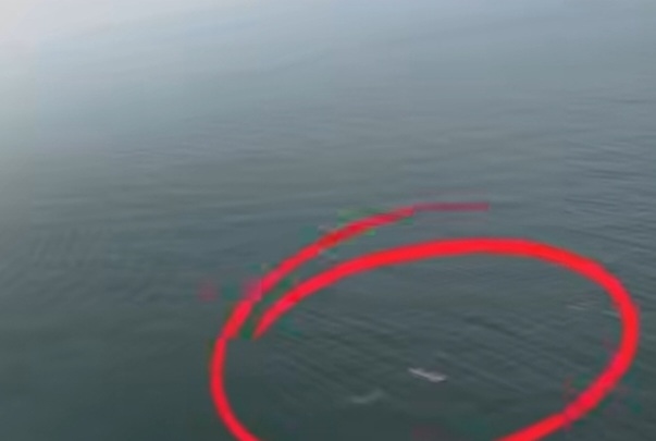 Pencarian 5 Jurnalis Hilang, Basarnas Cek Rekaman Drone di Sekitar Krakatau