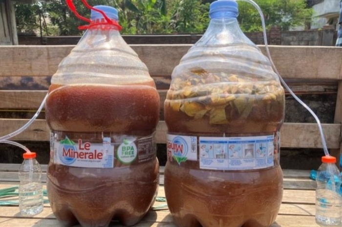 Inovasi Uiversitas Brawijaya Ubah Eceng Gondok Jadi Probiotik untuk Ikan Lele