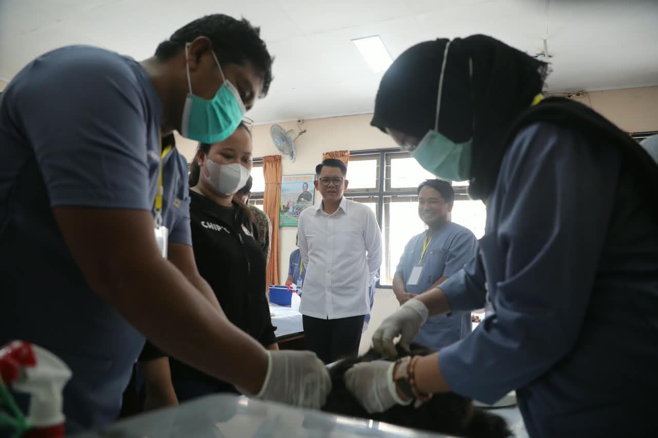 DIY Bebas Rabies, Kenapa Sleman Malah Gelar Vaksinasi Gratis Gede-gedean?