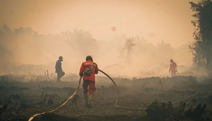 BNPB Catat Karhutla Masih Bakar 5 Provinsi, Papua Selatan Paling Terluas
