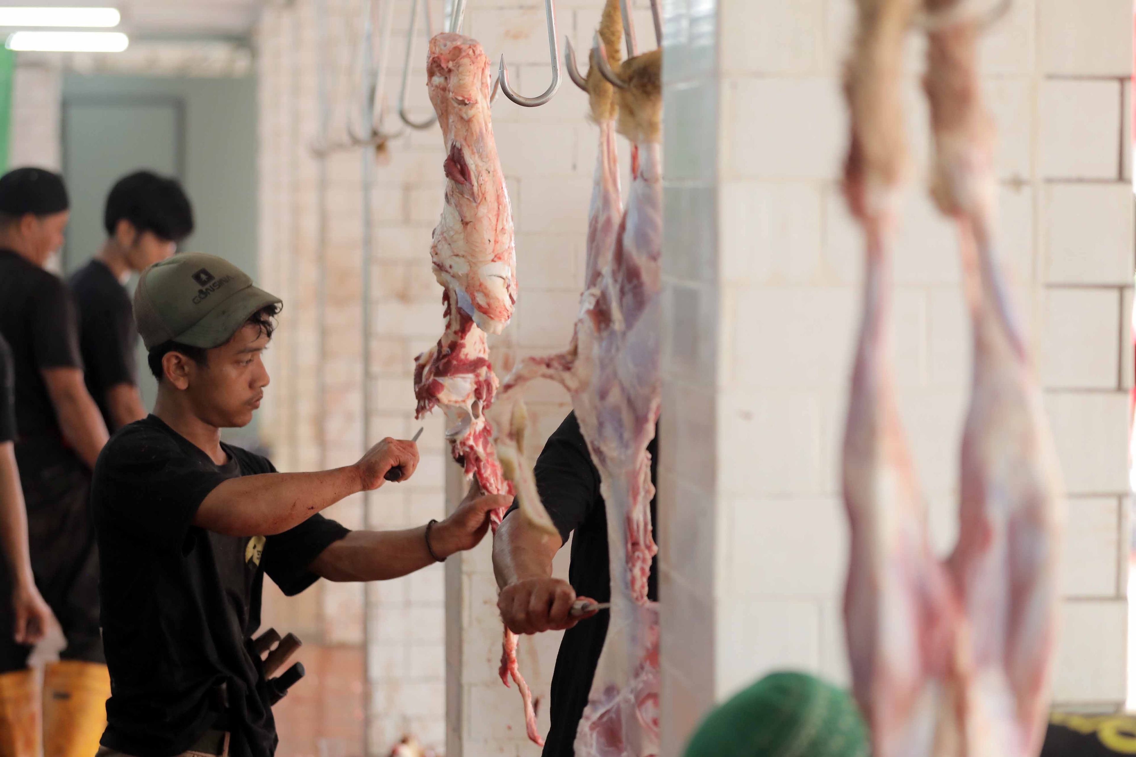 Panduan Praktis Panitia Kurban, Cara Menghitung Estimasi Bobot Daging Sapi