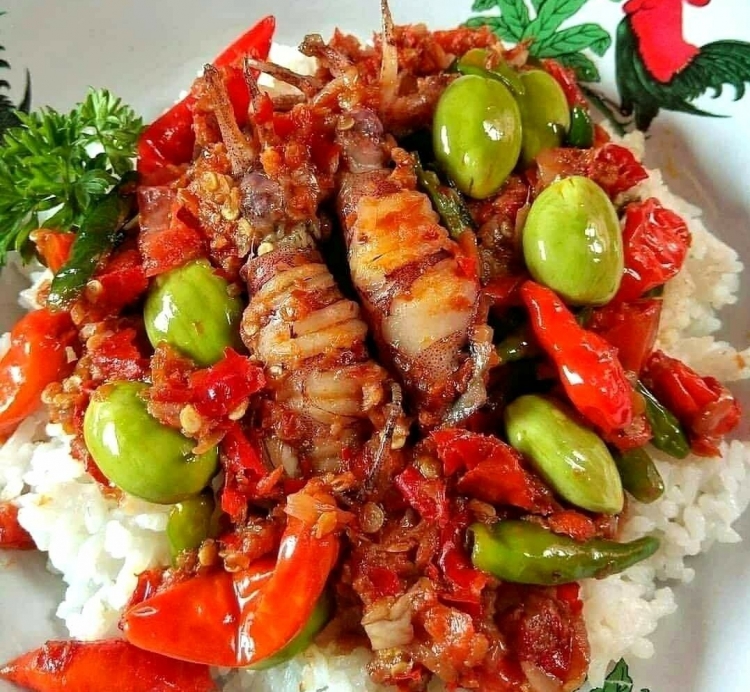 Resep Nasi Oseng Cumi Pedas, Sajian Makan Malam yang Menggoda Lidah