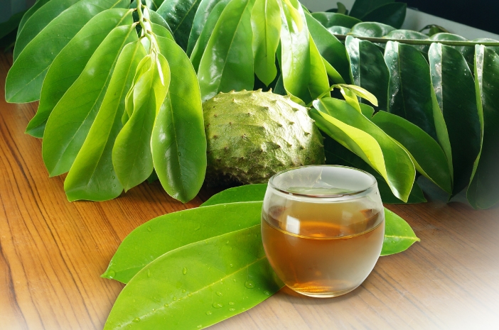 10 Tanaman Herbal Yang Ampuh untuk Obat Diabetes