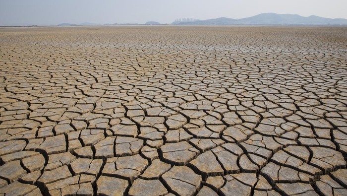 Soal El Nino dan Kekeringan, Dirut Food Station: Itu Terlalu Dilebih-lebihkan