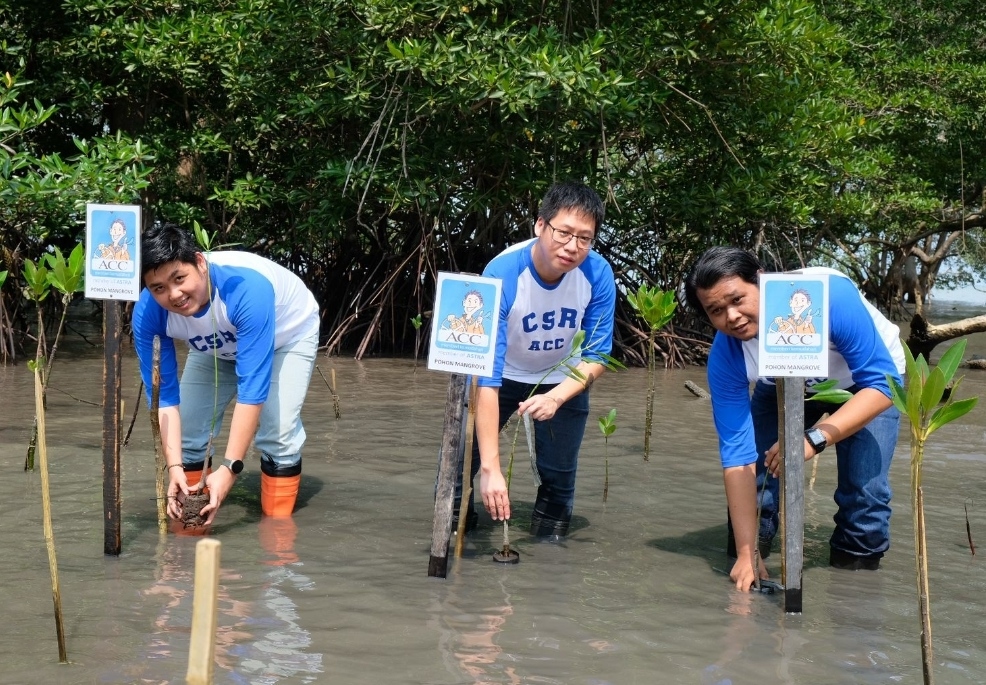 ACC Tanam 1.000 Pohon Mangrove di Kawasan Ekowisata Pandang Tak Jemu Batam