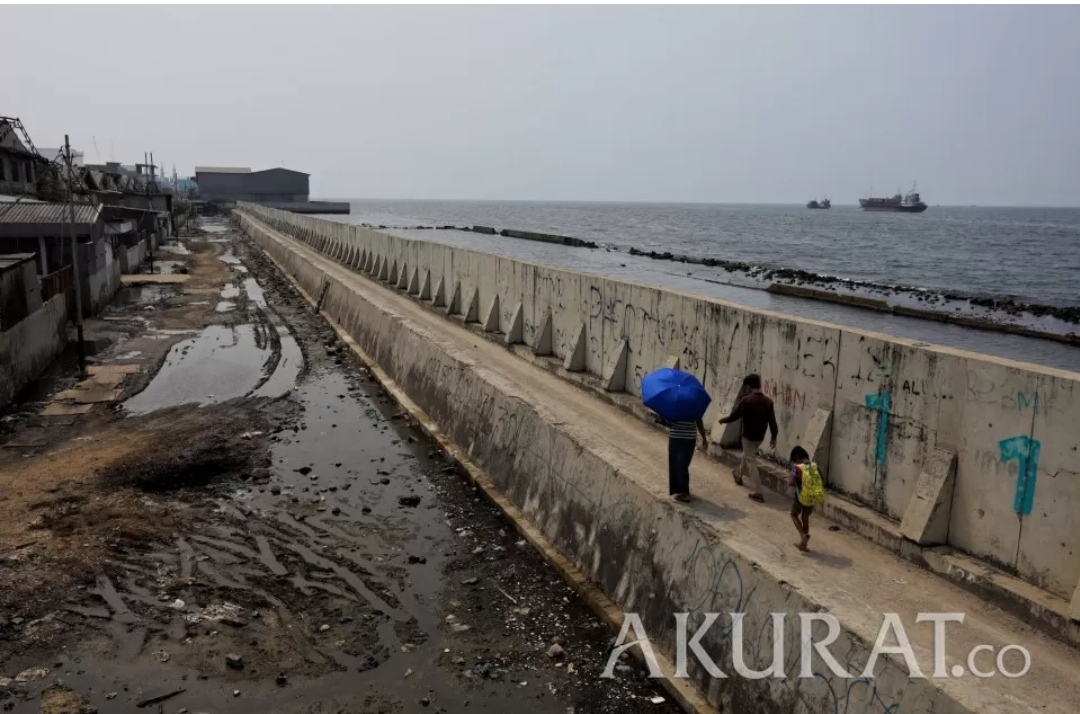 Heboh Giant Sea Wall Rembes, Pemprov DKI Ungkap Fakta Sebenarnya